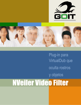 NVeiler Video Filter
