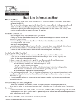 Head Lice Information Sheet
