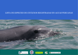 Lista de especies de cetáceos registradas en aguas peruanas