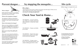 6-52-Dengue brochure - Texas Department of State Health Services