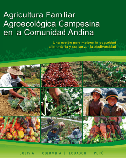 Agricultura Familiar Agroecológica Campesina en la Comunidad