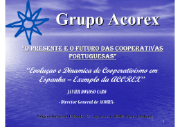 Grupo Acorex