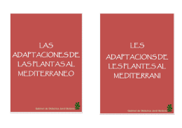 Descarregar PDF - Jardí Botànic de la Universitat de València