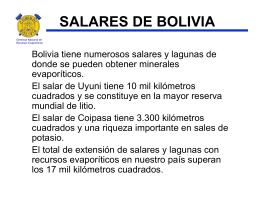SALARES DE BOLIVIA
