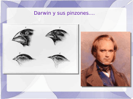 Darwin y sus pinzones.