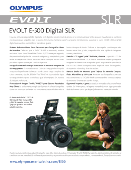 EVOLT E-500 Digital SLR