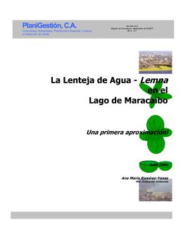 La Lenteja de Agua - Lemna - en el Lago de Maracaibo