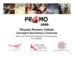 2009 Ricardo Romero Talledo