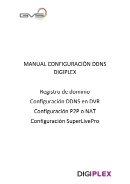 Manual Configuración DDNS Serie DGP Configuración