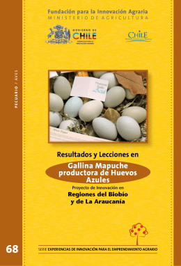 Gallina Mapuche productora de Huevos Azules