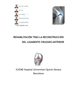 RHB LCA pp - Dr. Pablo E. Gelber