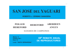SAN JOSE DEL YAGUARI - San José del Yaguarí