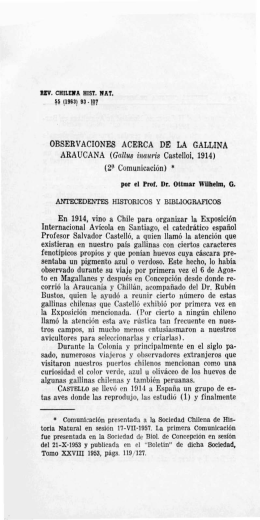 ARAUCANA (Gallus inauris - Revista Chilena de Historia Natural