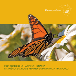 monitoreo de la mariposa monarca en américa del norte: resumen