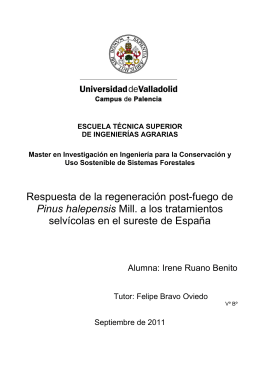 Pinus halepensis - UVaDOC - Universidad de Valladolid