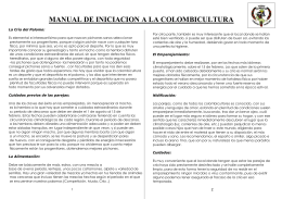 Versión para imprimir - Federación Valenciana de Colombicultura