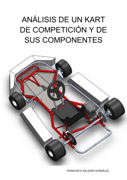 Análisis de un kart de competición y de sus componentes
