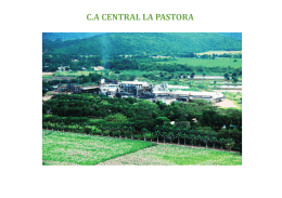 Informe Social de C.A. Central La Pastora