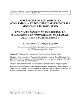 NEW SPECIES OF PSEUDOSINELLA (COLLEMBOLA