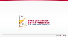 Bitrix Site Manager Edición Professional