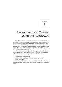 PROGRAMACIÓN C++ EN AMBIENTE WINDOWS