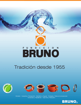 Descarga - Fundicion Bruno