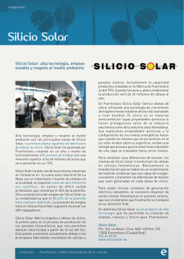 Silicio Solar: alta tecnología, empleo estable y respeto al medio