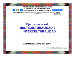 Presentación: Eje transversal Multiculturalidad e Interculturalidad