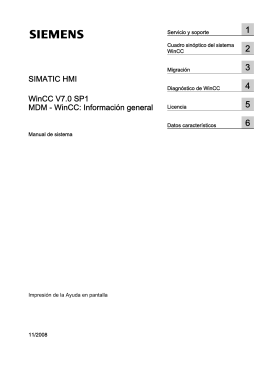 MDM - WinCC: Información general - Services