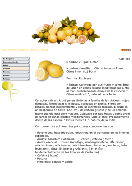 Citricos Nombre vulgar: Limón Nombre científico: Citrus limonum