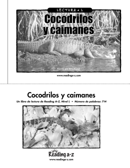 Cocodrilos y caimanes Cocodrilos y caimanes Cocodrilos y caimanes