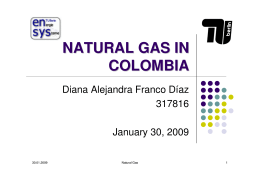 NATURAL GAS IN COLOMBIA