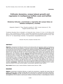 Follicular dynamics, corpus luteum growth and regression in