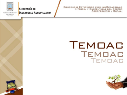 Temoac - OEIDRUS Morelos