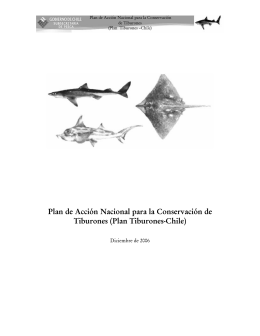 Plan de Acción Nacional para la Conservación de Tiburones (Plan
