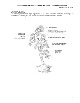 Manual bonsai 2