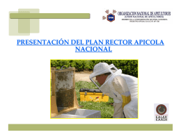 presentación del plan rector apicola nacional