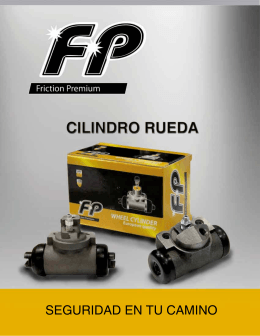 FP 2012 - cilindro rueda y bombas de freno