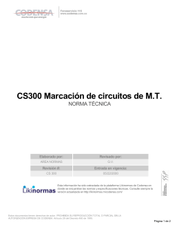 CS300 Marcación de circuitos de M.T.