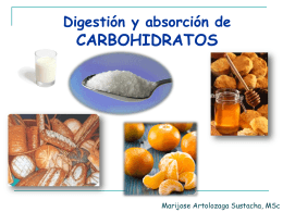 CLASE Digestión y absorción de Carbohidratos