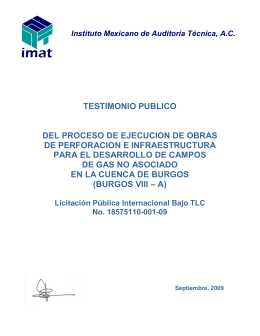 Testimonio Público Burgos VIII - PEMEX Exploración y Producción