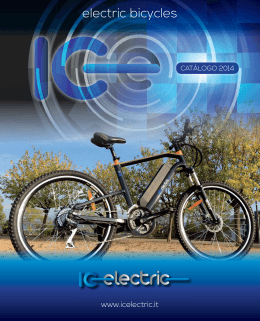 Cataleg IC-Electric 2013