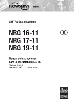 Electrodo de nivel NRG 16-11, NRG 17-11, NRG 19-11