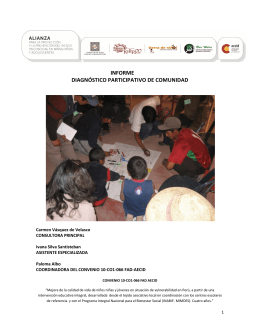 informe diagnóstico participativo de comunidad