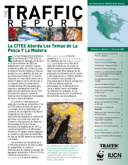 The TRAFFIC Report (Spanish) - Vol. 2, No. 1. 2003.