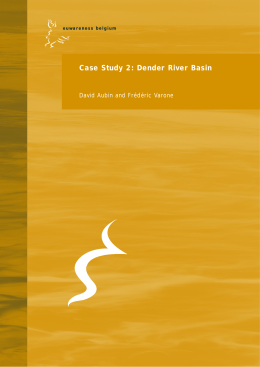 Case Study 2: Dender River Basin