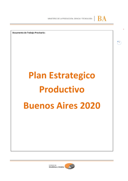 Plan Estrategico Productivo Buenos Aires 2020