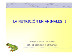 LA NUTRICIÓN EN ANIMALES I