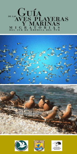 Guía de Aves Playeras y Marinas migratorias del Sur de