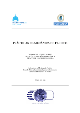 PRÁCTICAS DE MECÁNICA DE FLUIDOS - AulaWeb